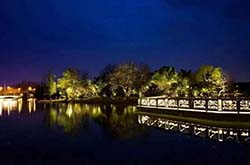 防疫抗疫，負(fù)重前行，太陽(yáng)能路燈廠家牛氣沖天，犇起來(lái)！?。?>
															</div>
							<div   id=