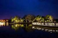 防疫抗疫，負(fù)重前行，太陽能路燈廠家牛氣沖天，犇起來?。?！